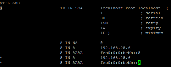 dns sinkhole iso