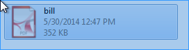 PDF Icon in Microsoft Explorer