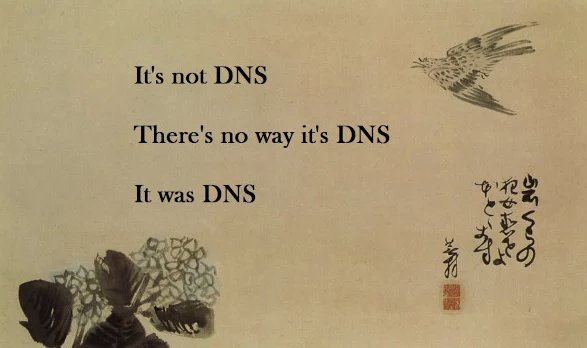 DNS haiku: It's not DNS There's no way it's DNS It was DNS