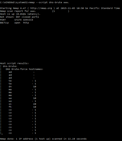 DNS brute nmap script