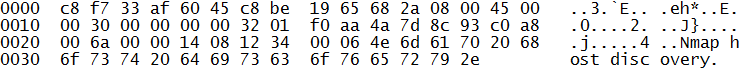 IP Forward answer packet