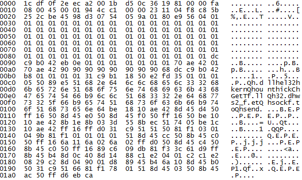 Malicious packet 3