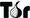 tor logo